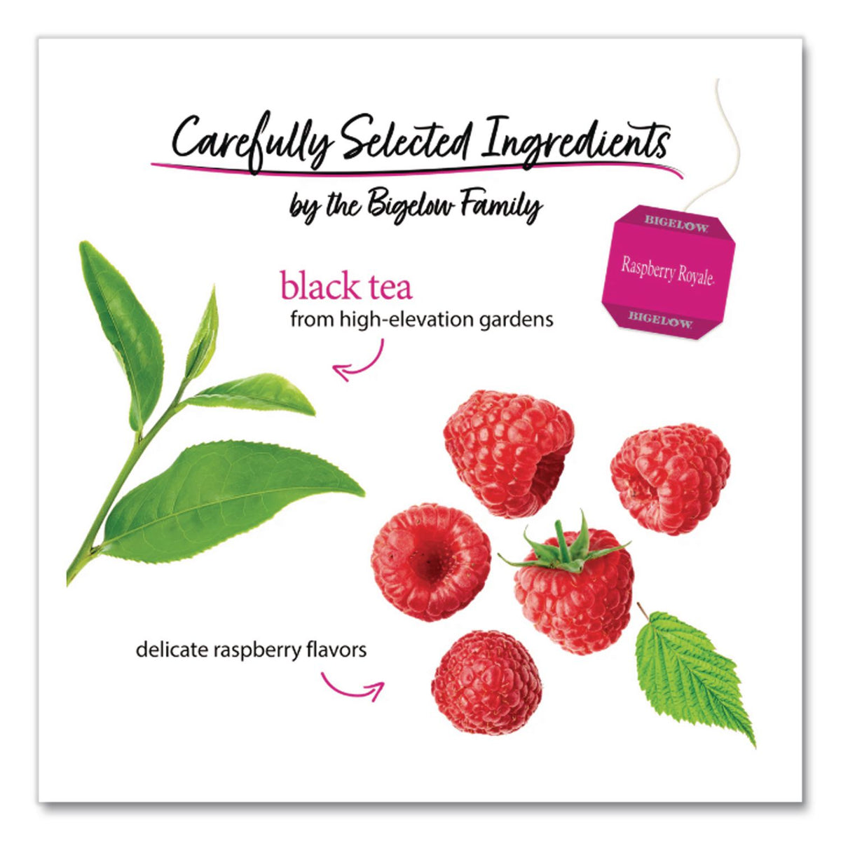 Raspberry Black Tea, Raspberry, 0.34 lbs, 28/Box