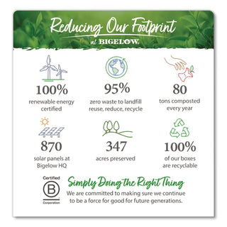 Bigelow Organic Dandelion & Peach Rooibos & Green Tea Herbal Tea, Green Tea Bag - 1.2 oz - 20 Teabag - 20 / Box