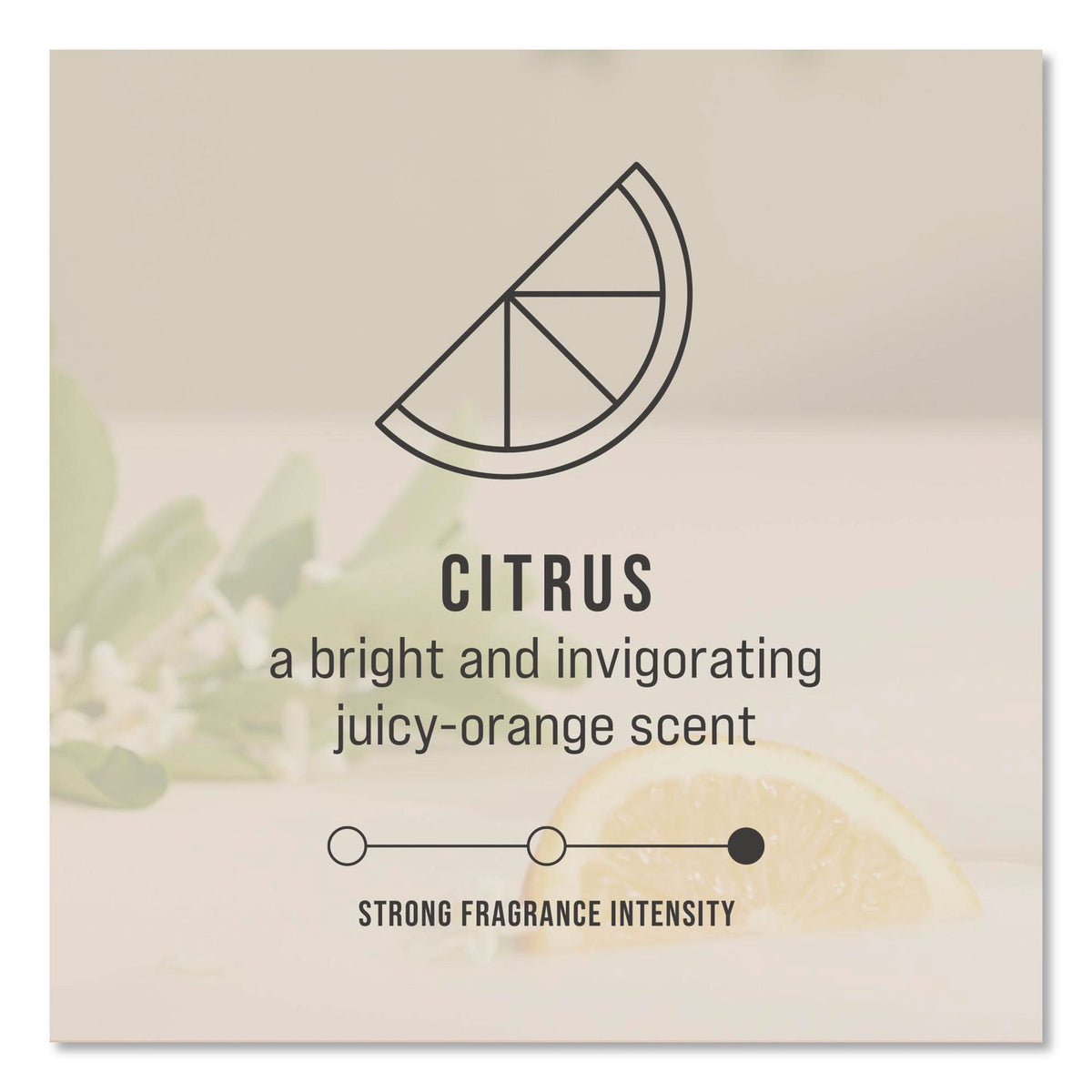 TCell Microtrans Odor Neutralizer Refill, Citrus, 1.62 oz, 6/Carton