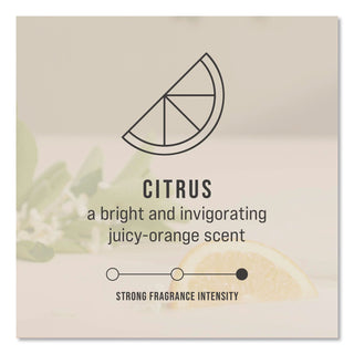 TCell Microtrans Odor Neutralizer Refill, Citrus, 1.62 oz, 6/Carton