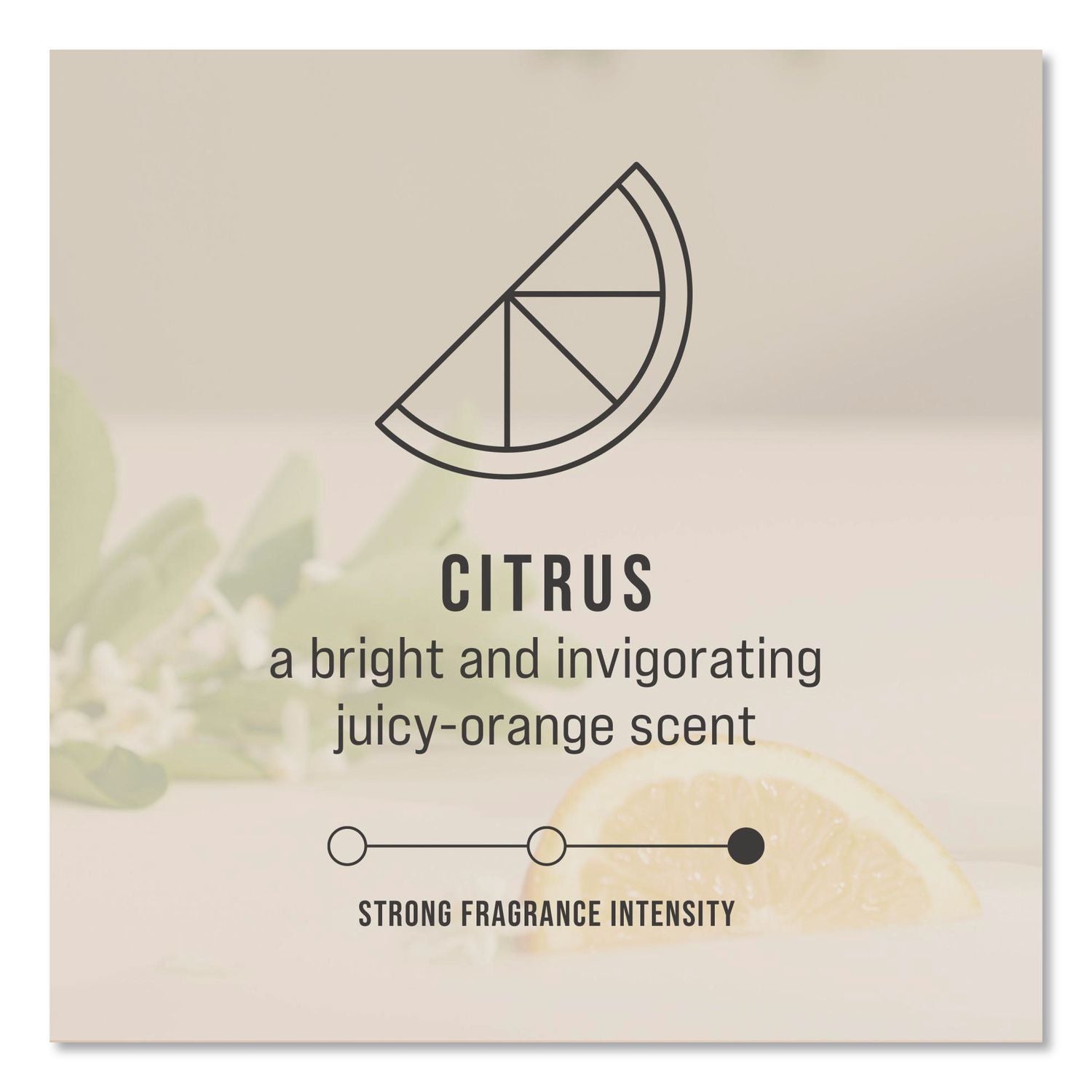 TCell Microtrans Odor Neutralizer Refill, Citrus, 1.62 oz, 6/Carton