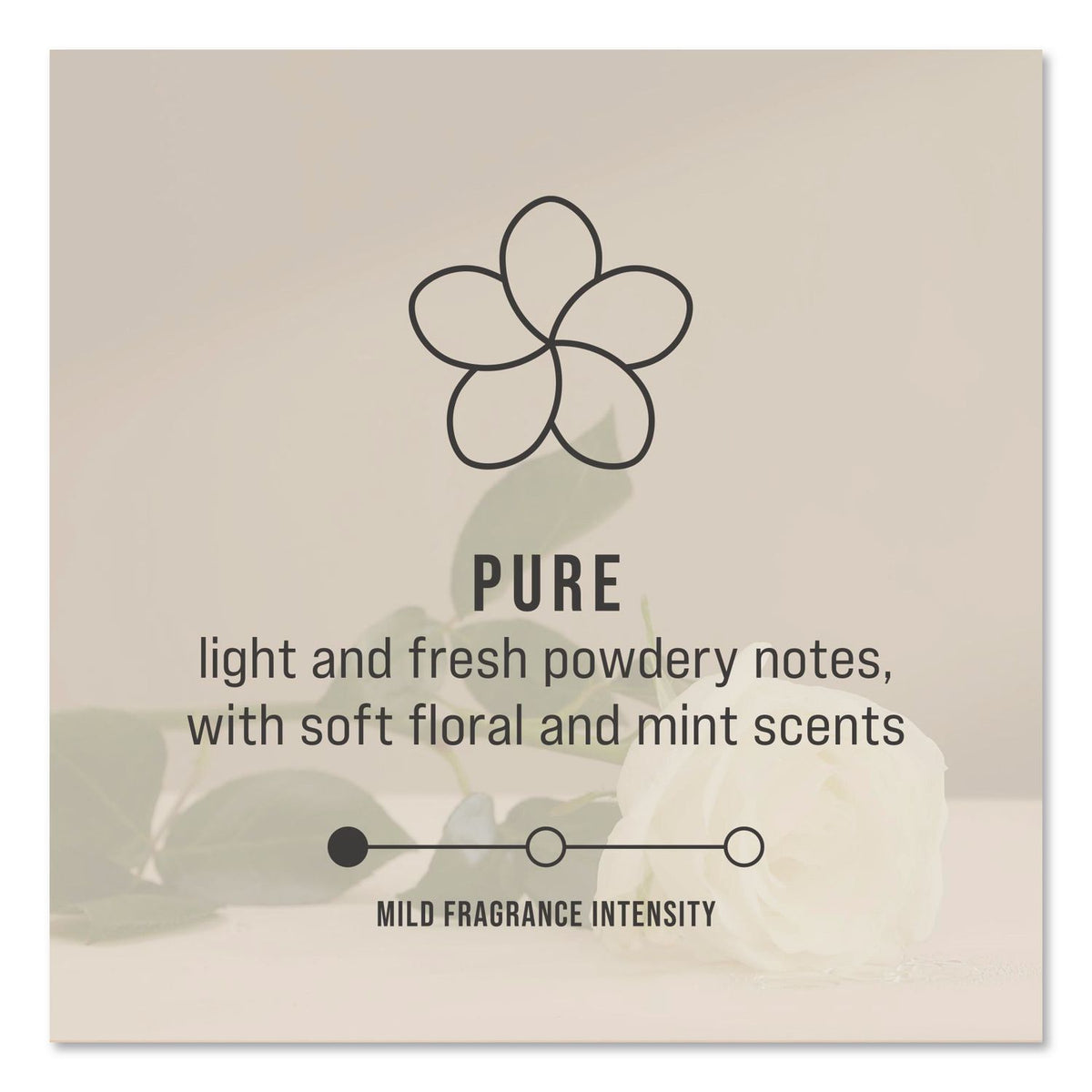 TCell Air Freshener Dispenser Oil Fragrance Refill, Pure Scent, 1.62 oz, 6/Carton