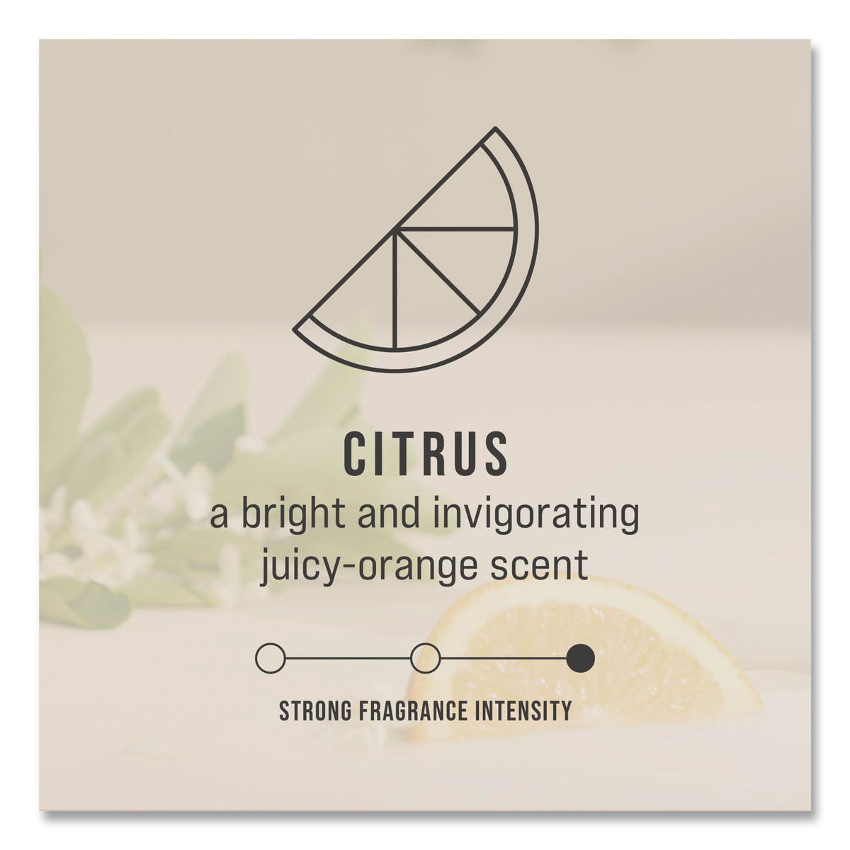 TCell Microtrans Odor Neutralizer Refill, Citrus, 1.62 oz