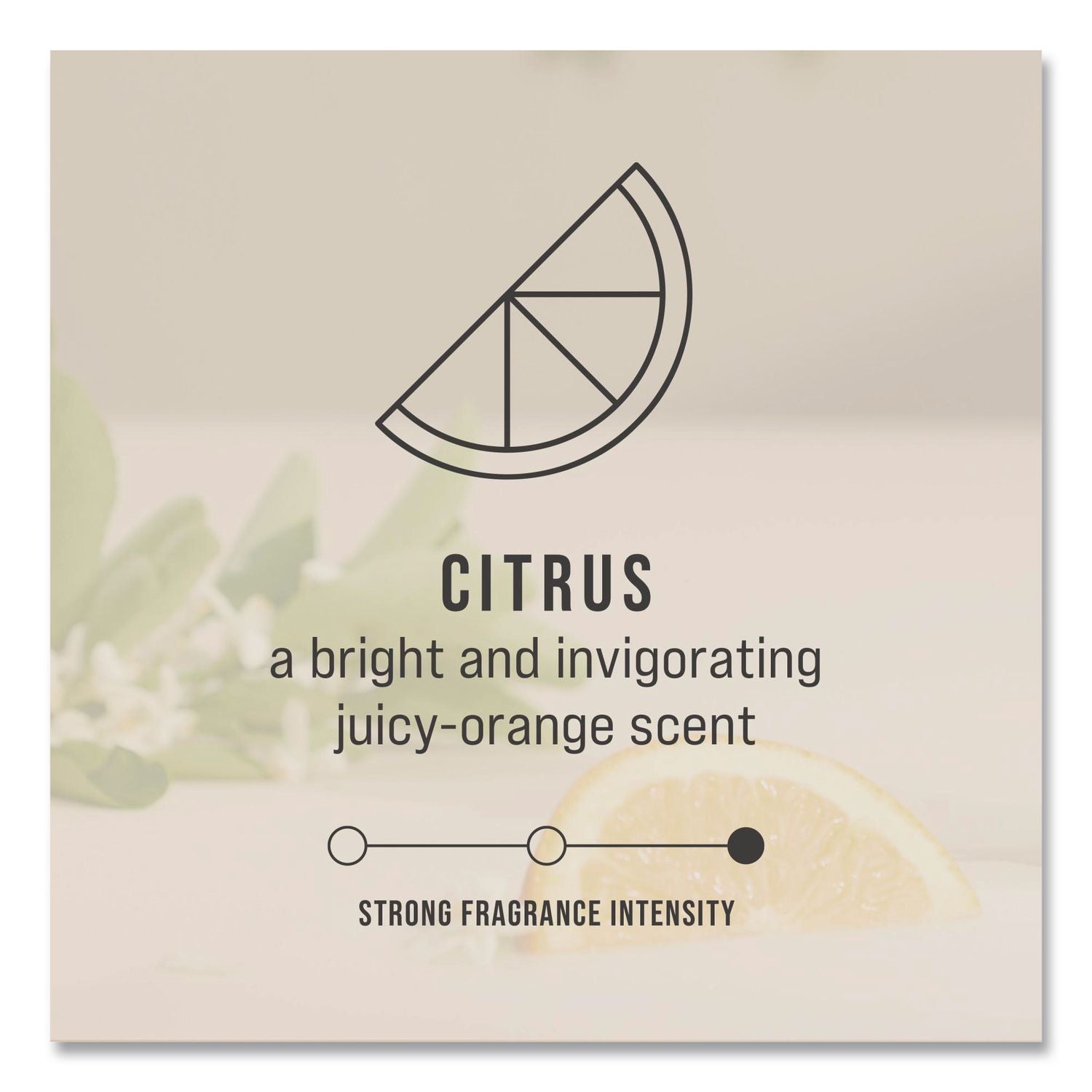 TCell Microtrans Odor Neutralizer Refill, Citrus, 1.62 oz