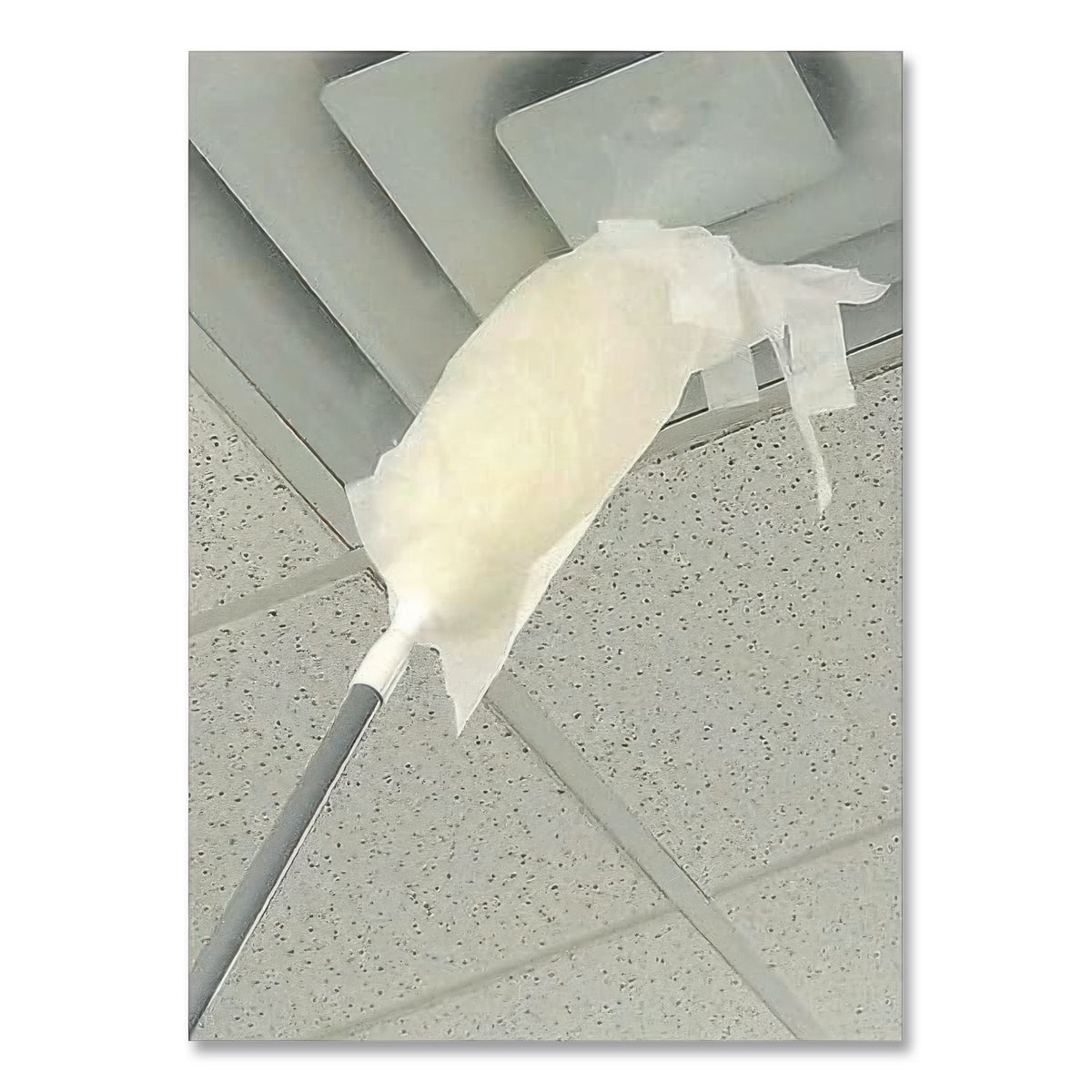 ProDuster Disposable Replacement Sleeves, Polyester, White, 7" x 18", 50/Pack