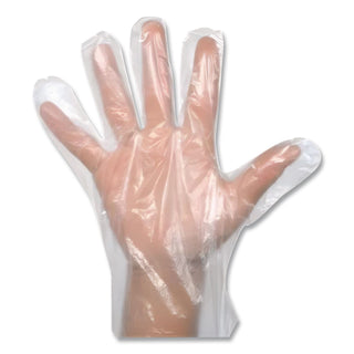 EconoFit Plus Powder-Free Polyethylene Gloves, Large, Clear, 200/Pack, 10 Packs/Carton
