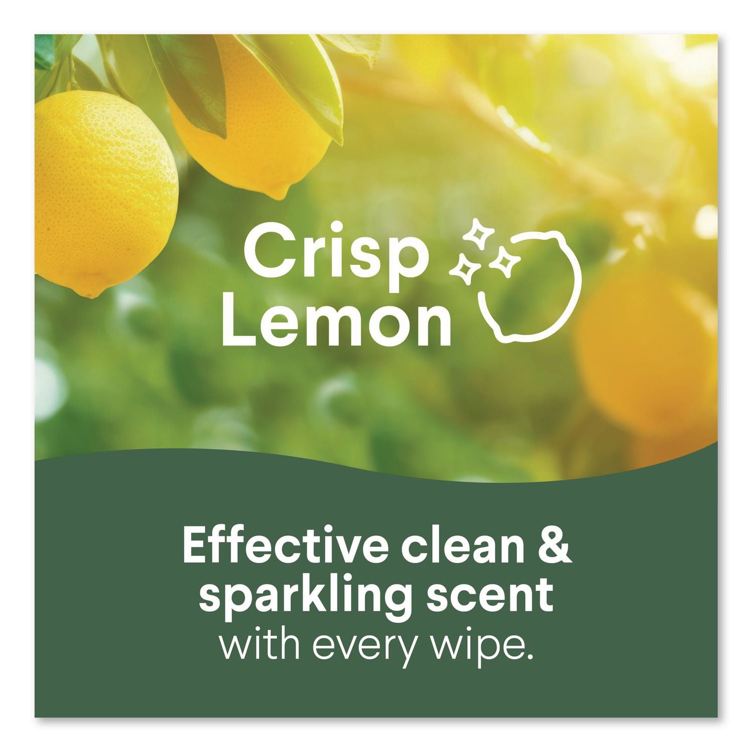 Disinfecting Wipes, Easy Pull Pack, 1-Ply, 8 x 7, Lemon Scent, White, 75 Towels/Box, 6 Boxes/Carton