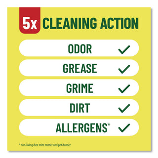 Multi-Surface Cleaner Disinfectant Concentrated, Pine Scent, 14 oz Bottle