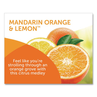 Super Odor Eliminator, Mandarin Orange and Fresh Lemon, 14 oz Jar