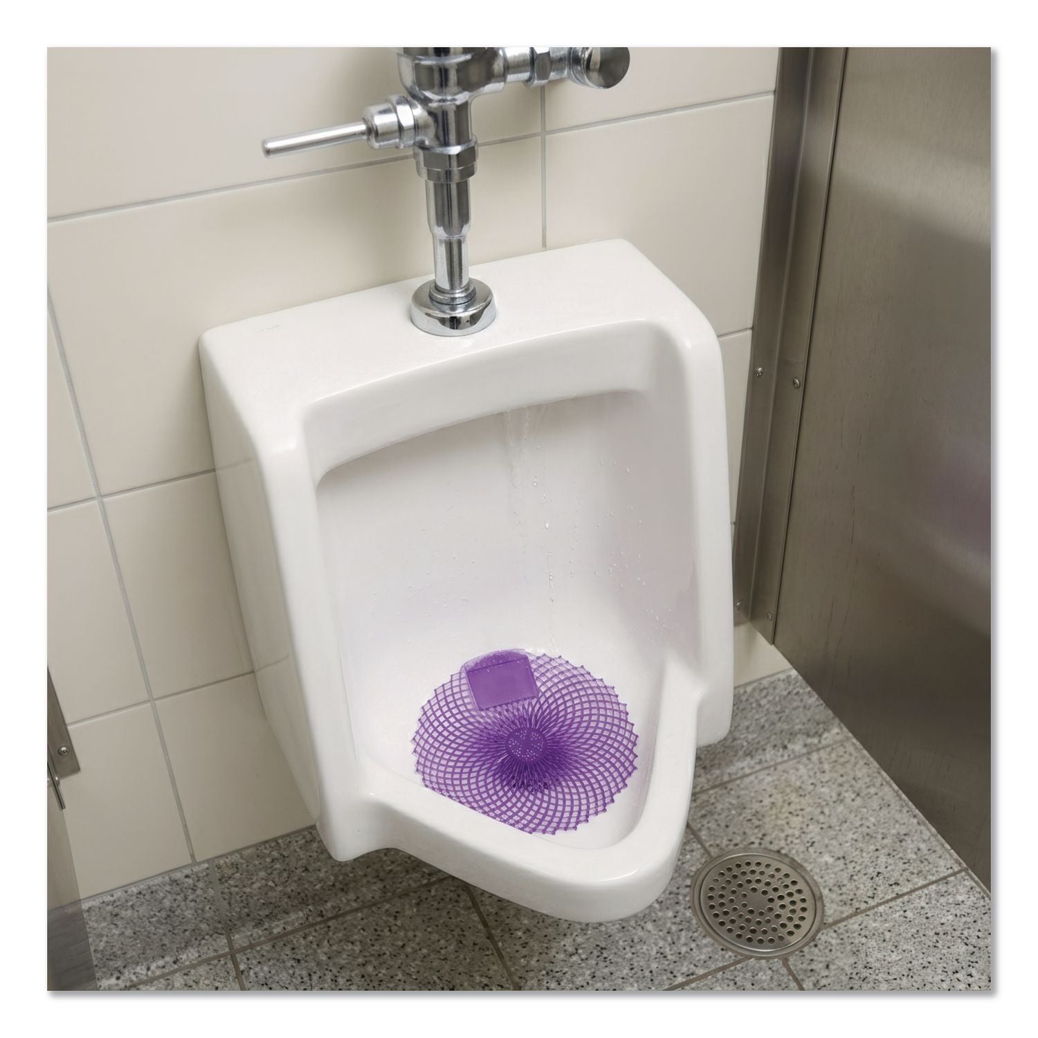 Eclipse Urinal Screen, Lavender Fields Scent, Dark Purple, 36/Carton
