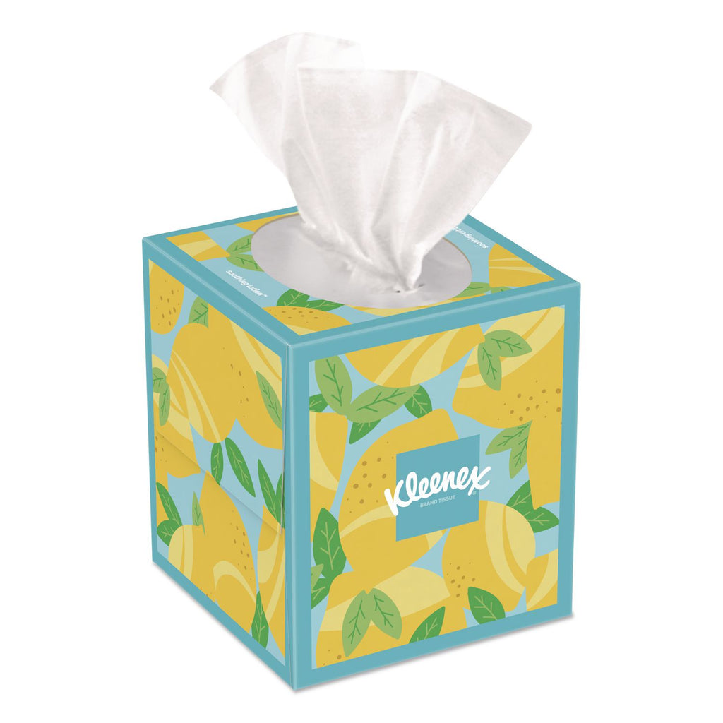 Ultra Soft Facial Tissue, 3-Ply, White, 60 Sheets/Box, 4 Boxes/Pack, 3 Packs/Carton