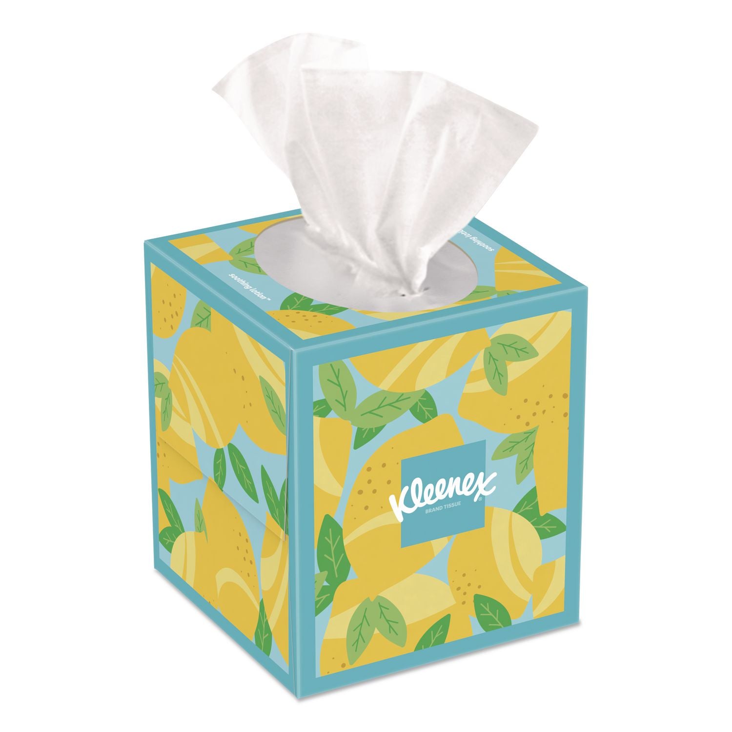 Ultra Soft Facial Tissue, 3-Ply, White, 60 Sheets/Box, 4 Boxes/Pack, 3 Packs/Carton