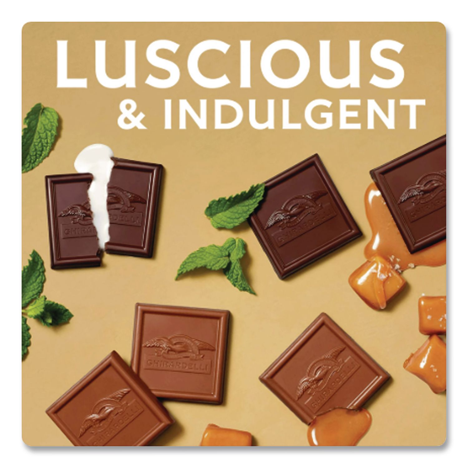 Premuim Assorted Dark and Milk Chocolate Squares, 15.77 oz Bag, Ships in 1-3 Business Days