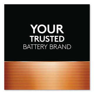 Power Boost CopperTop Alkaline AAA Batteries, 20/Pack