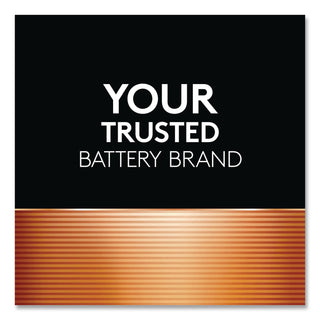 Power Boost CopperTop Alkaline AAA Batteries, 24/Pack