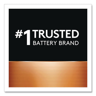 Power Boost CopperTop Alkaline AAA Batteries, 8/Pack, 40 Packs/Carton