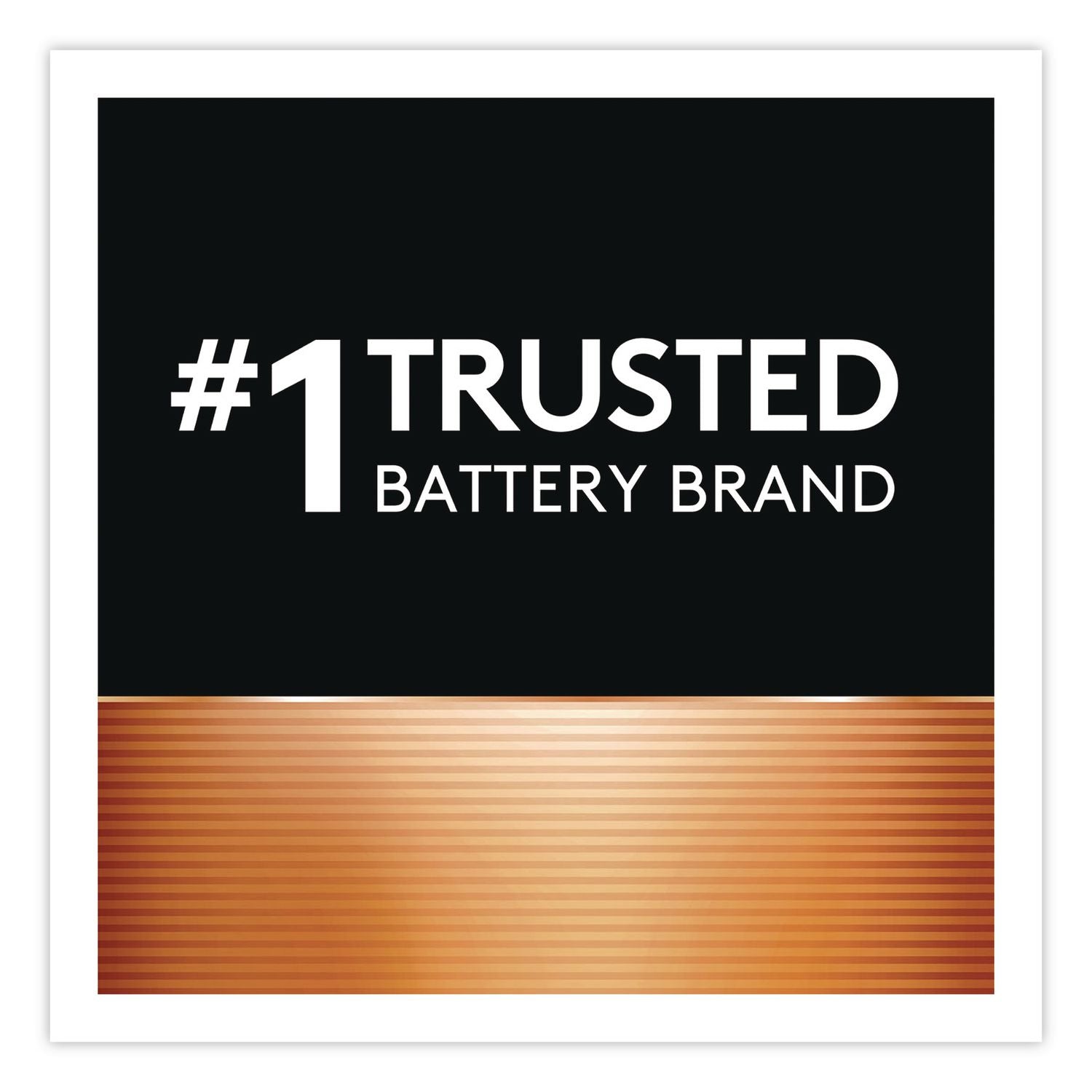 Power Boost CopperTop Alkaline AAA Batteries, 4/Pack