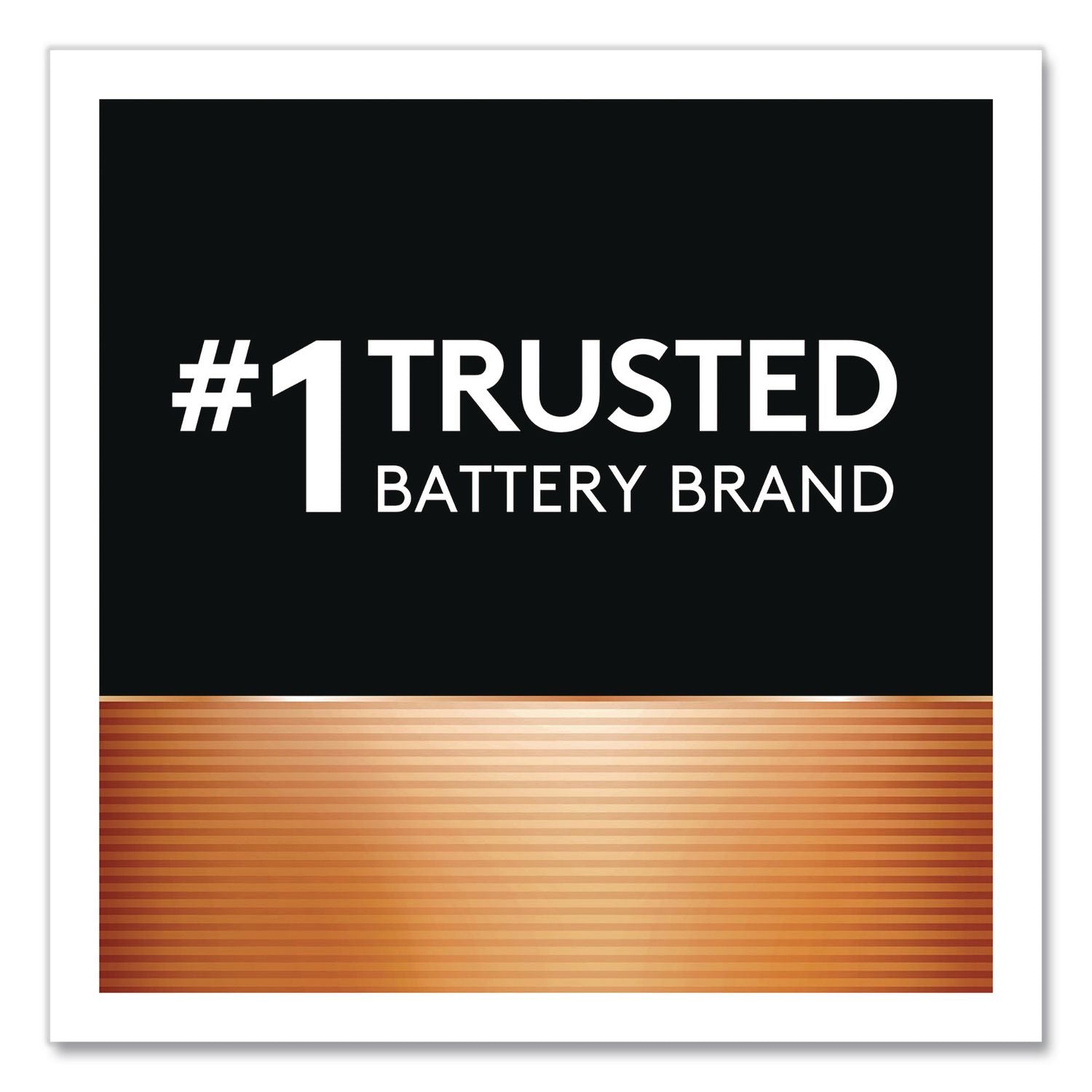 Power Boost CopperTop Alkaline AA Batteries, 16/Pack