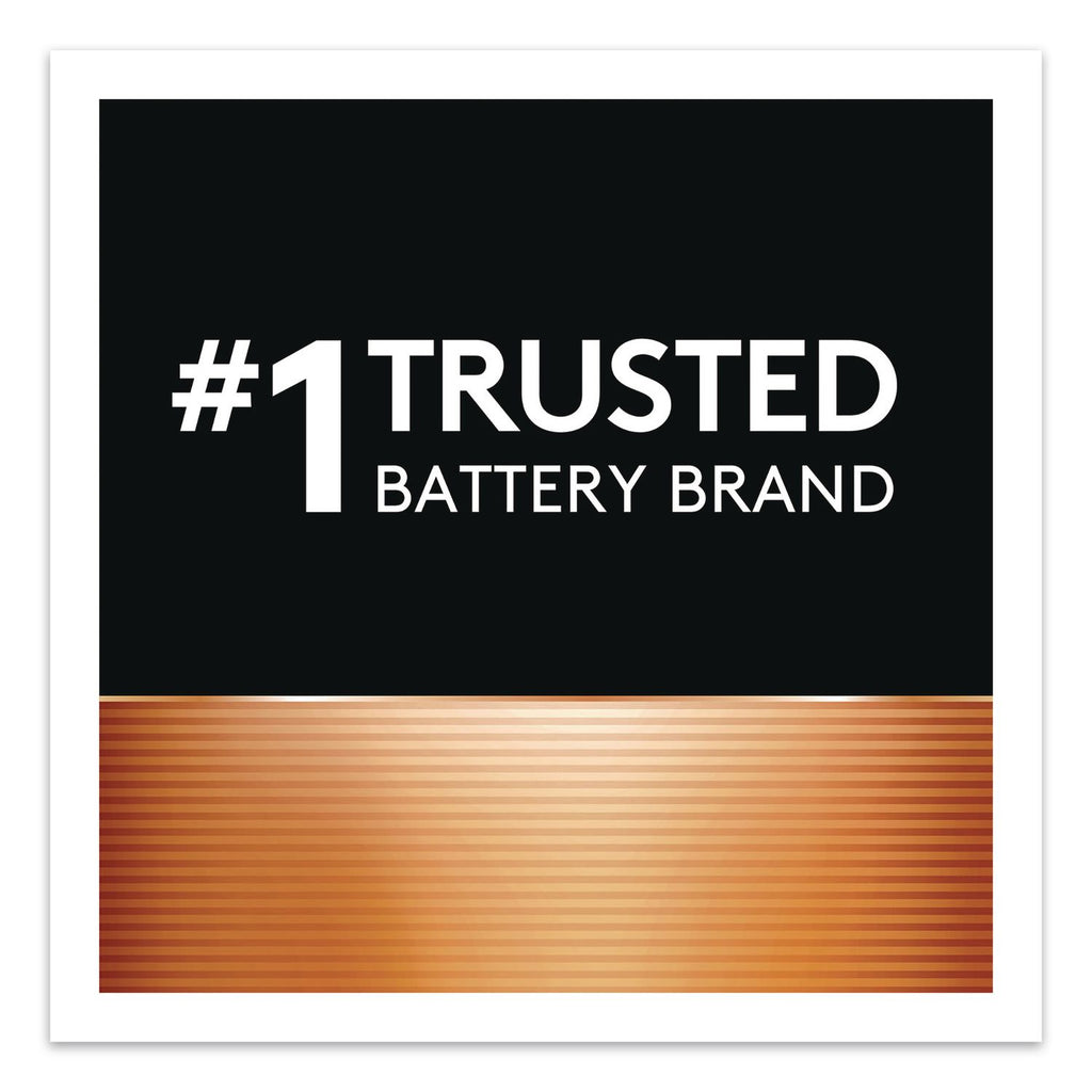 Power Boost CopperTop Alkaline AA Batteries, 224/Carton
