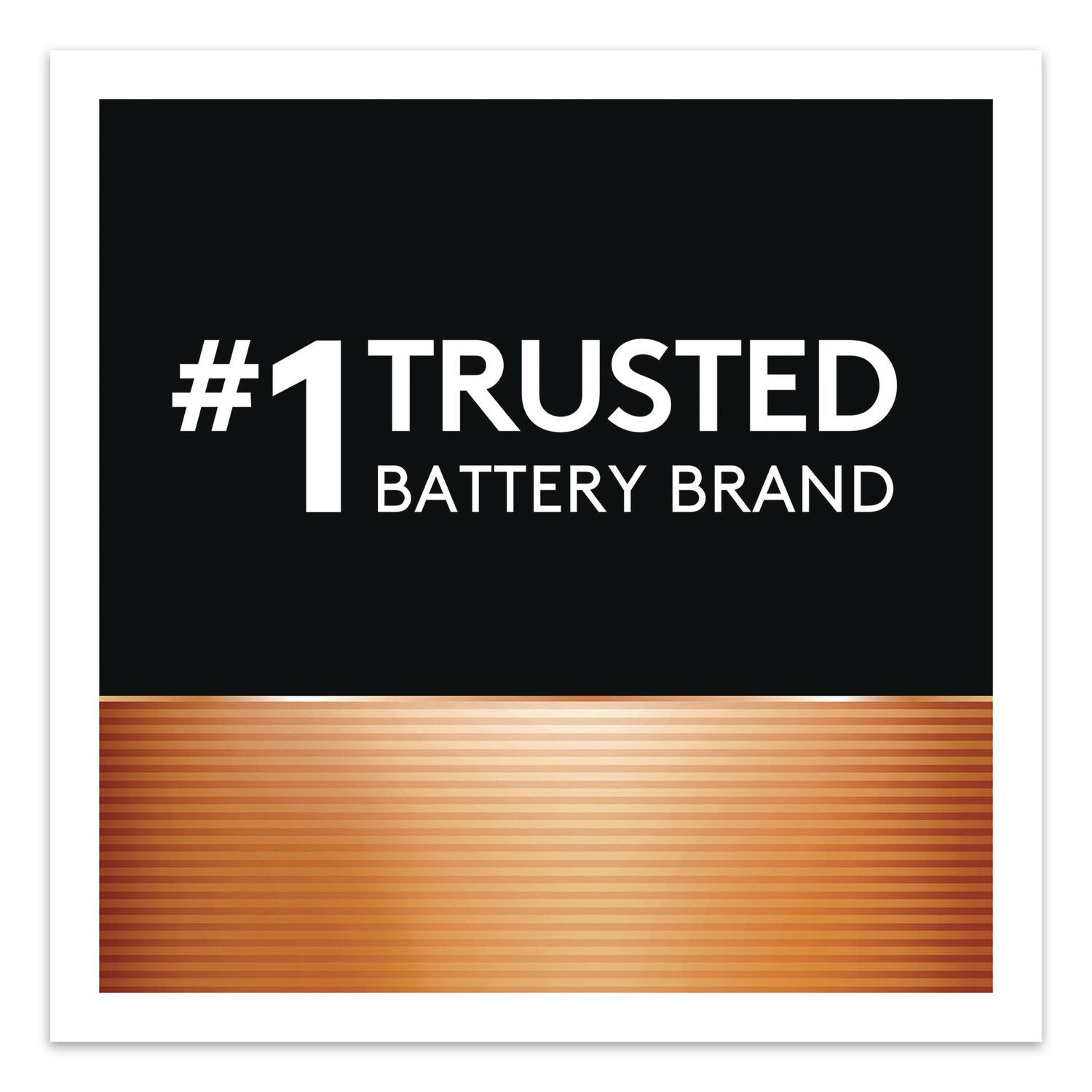 Power Boost CopperTop Alkaline AA Batteries, 224/Carton