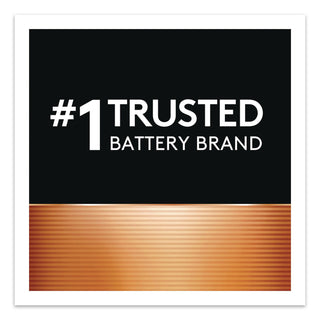 Power Boost CopperTop Alkaline AA Batteries, 224/Carton