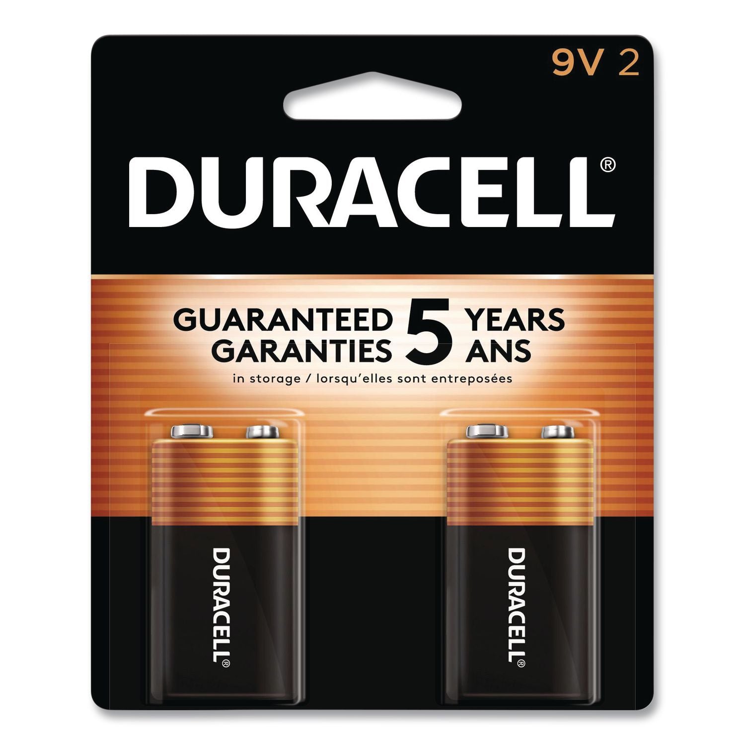 CopperTop Alkaline 9V Batteries, 2/Pack
