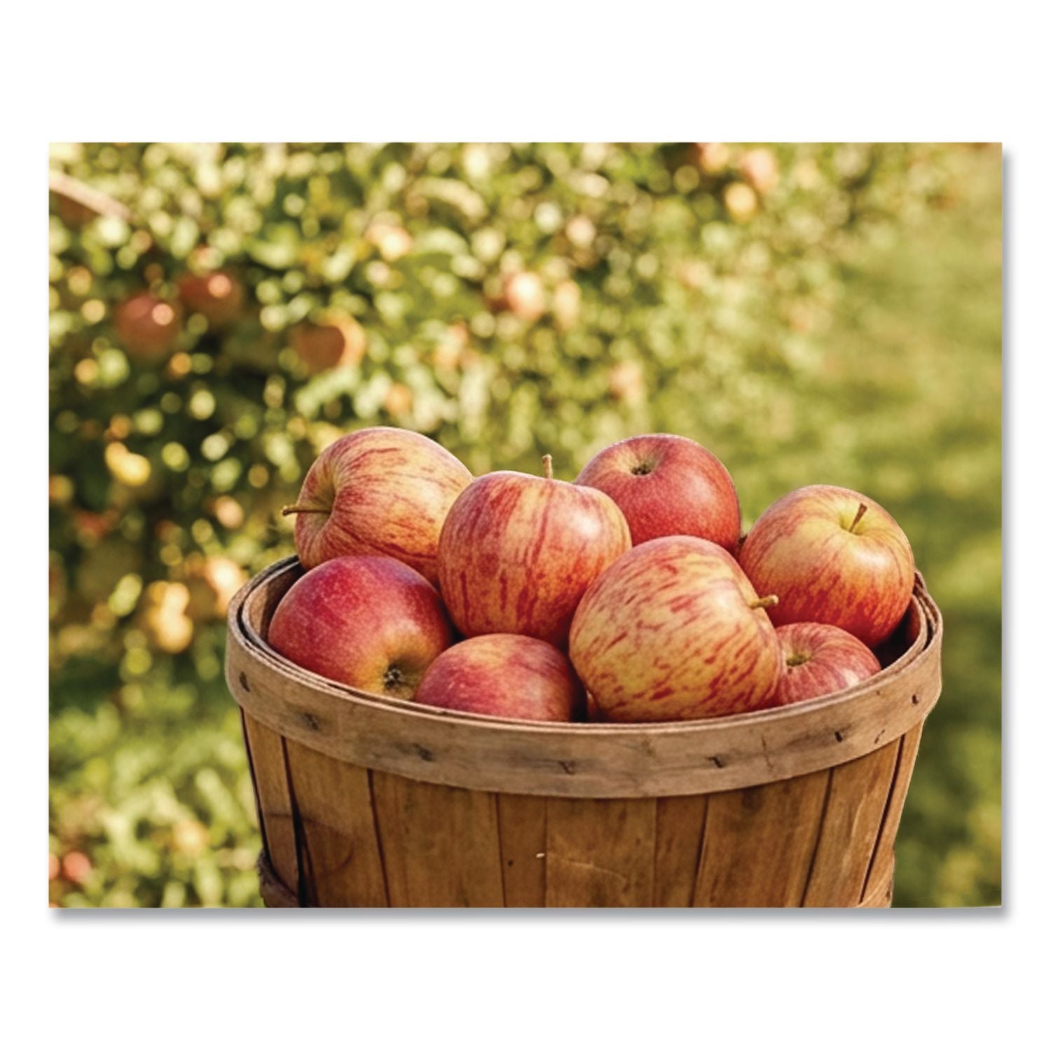 Fresh Gala Apples, 8/Carton, Ships in 1-3 Business Days