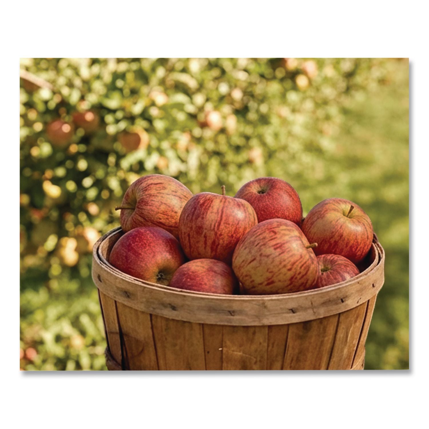 Fresh Fuji Apples, 8/Carton, Ships in 1-3 Business Days