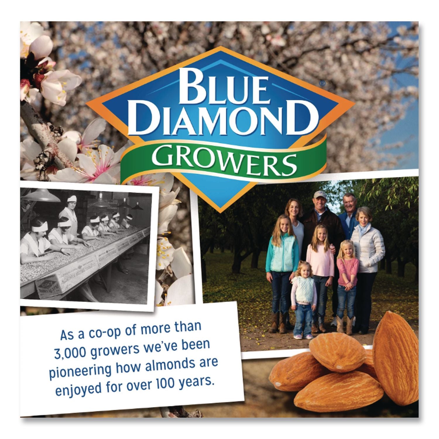 Low Sodium Lightly Salted Almonds, 10 oz Bag, Ships in 1-3 Business Days