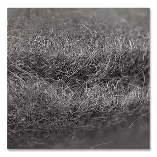 Radial Steel Wool Pads, Grade 0 (Fine): Cleaning and Polishing, 20" Diameter, Gray, 12/Carton