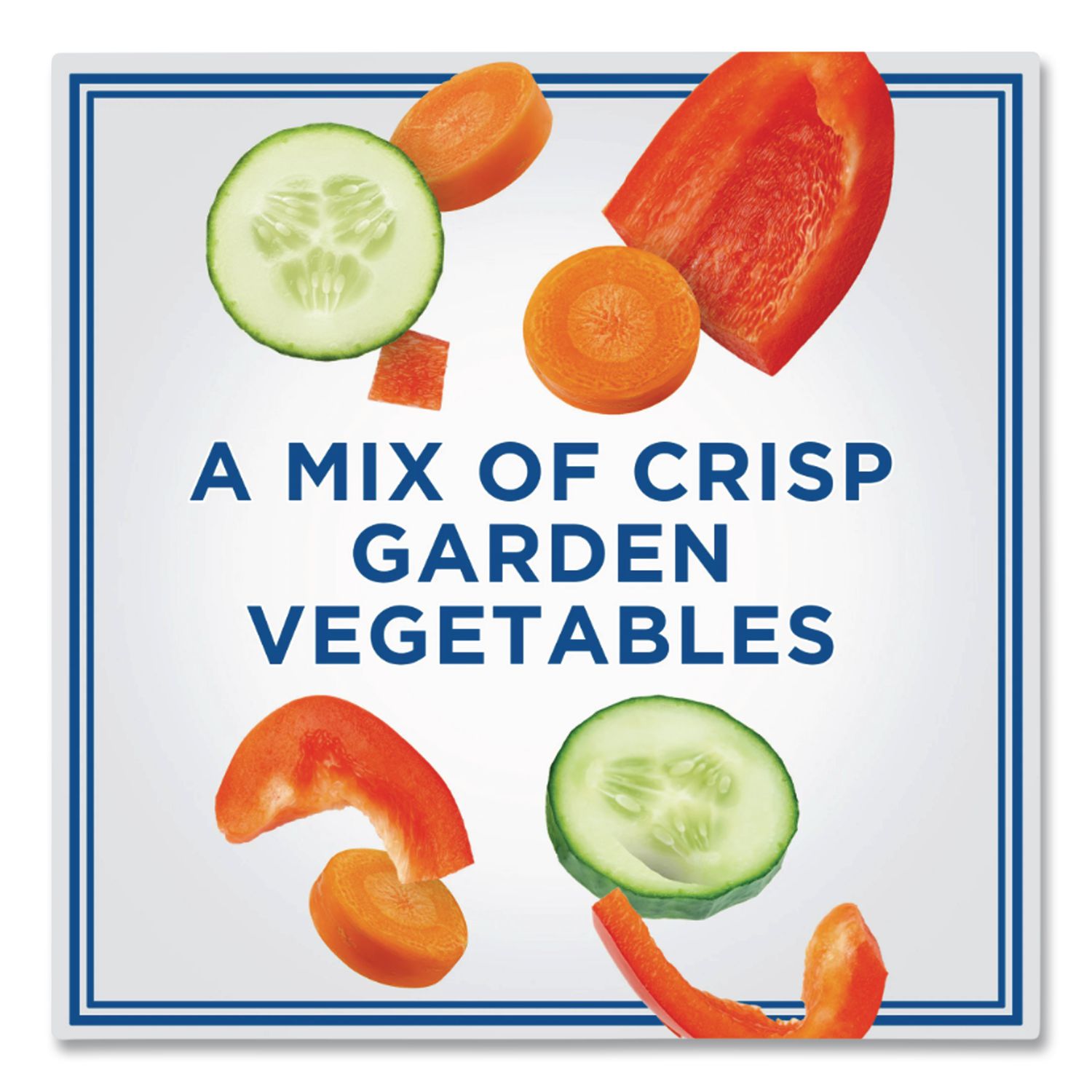 Multigrain Bagel Chips and Garden Vegetable Cream Cheese Dip, 2.5 oz, 5/Carton, Ships in 1-3 Business Days