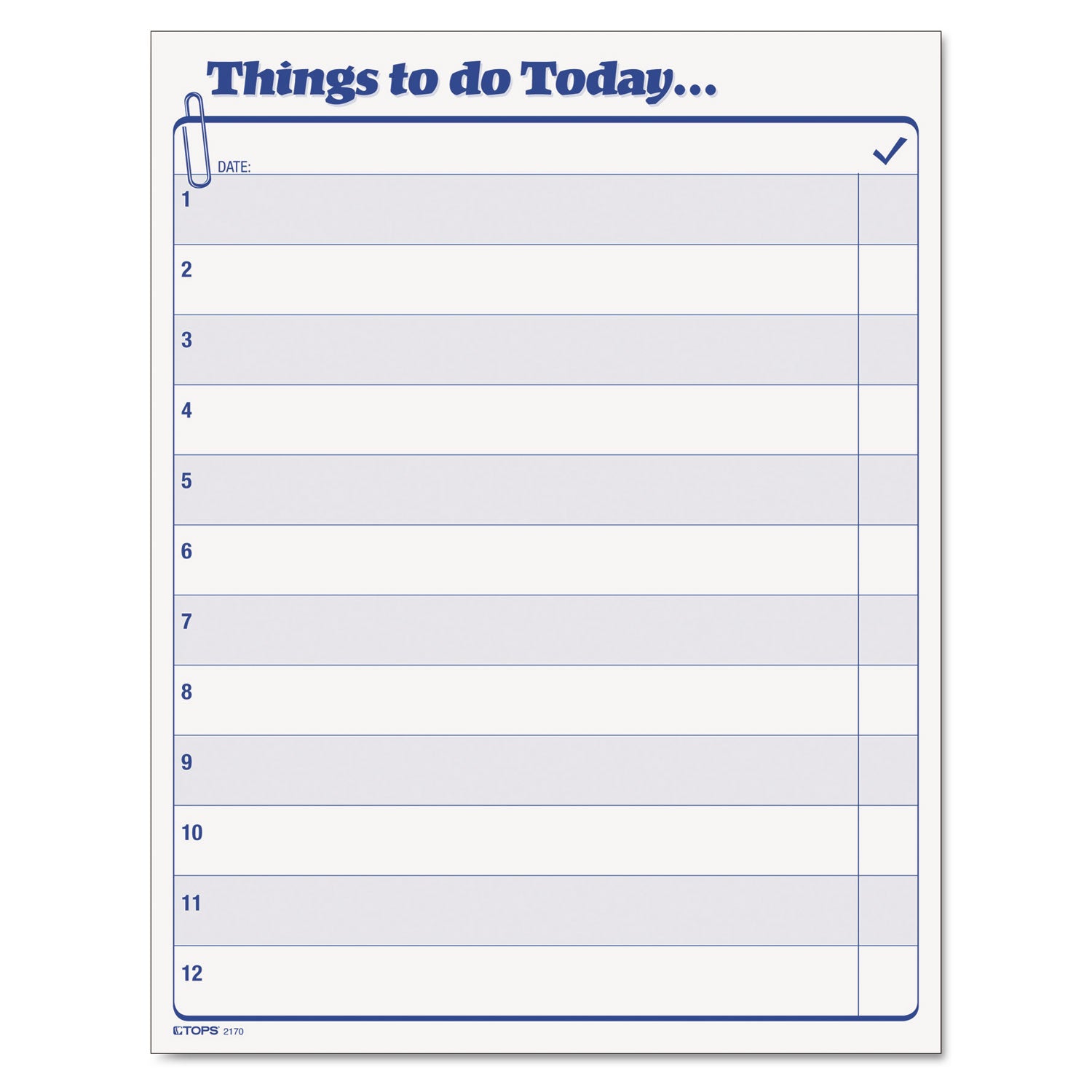 Things To Do Today" Daily Agenda Pad, One-Part (No Copies), 8.5 x 11, 100 Forms Total