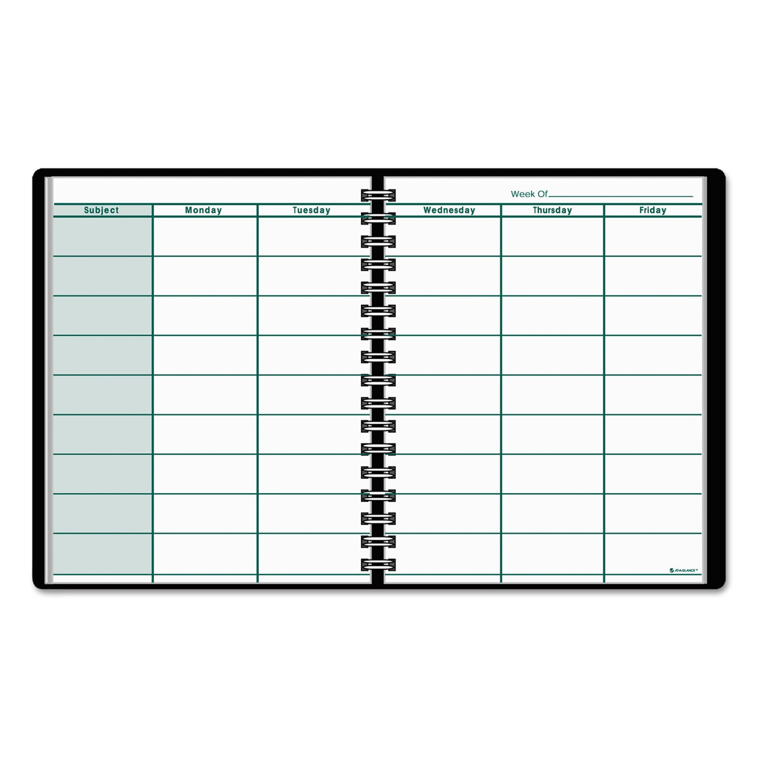 Undated Teacher's Planner, Weekly, Two-Page Spread (Nine Classes), 10.88 x 8.25, Black Cover