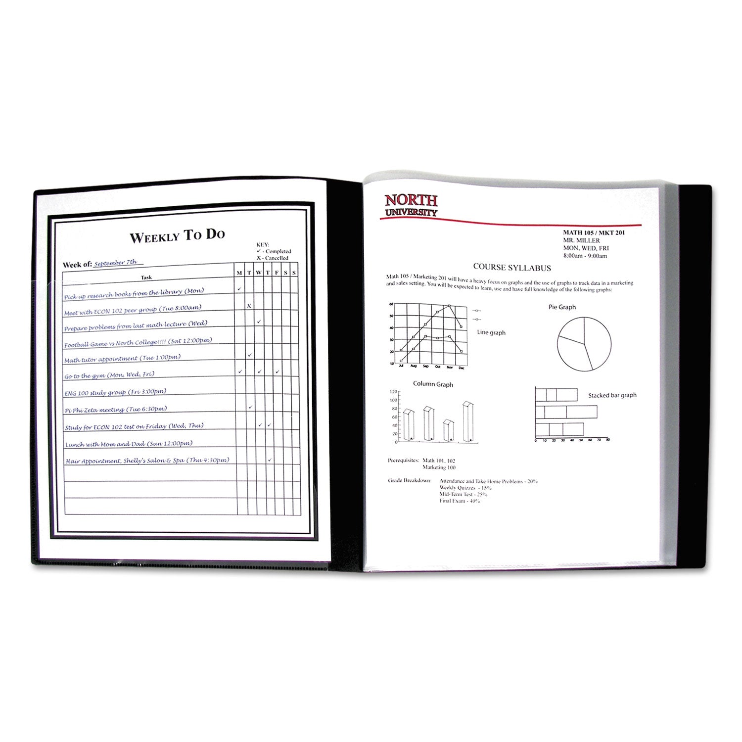 Bound Sheet Protector Presentation Book, 24 Letter-Size Sleeves, Black - 
