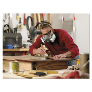 Half Facepiece Paint Spray/Pesticide Respirator, Large