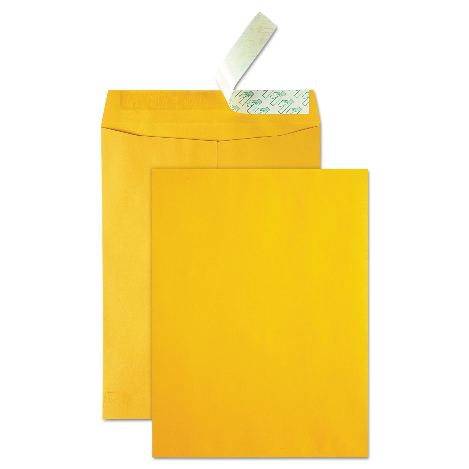 High Bulk Redi-Strip Catalog Envelope, #13 1/2, Cheese Blade Flap, Redi-Strip Adhesive Closure, 10 x 13, Brown Kraft, 250/CT - 
