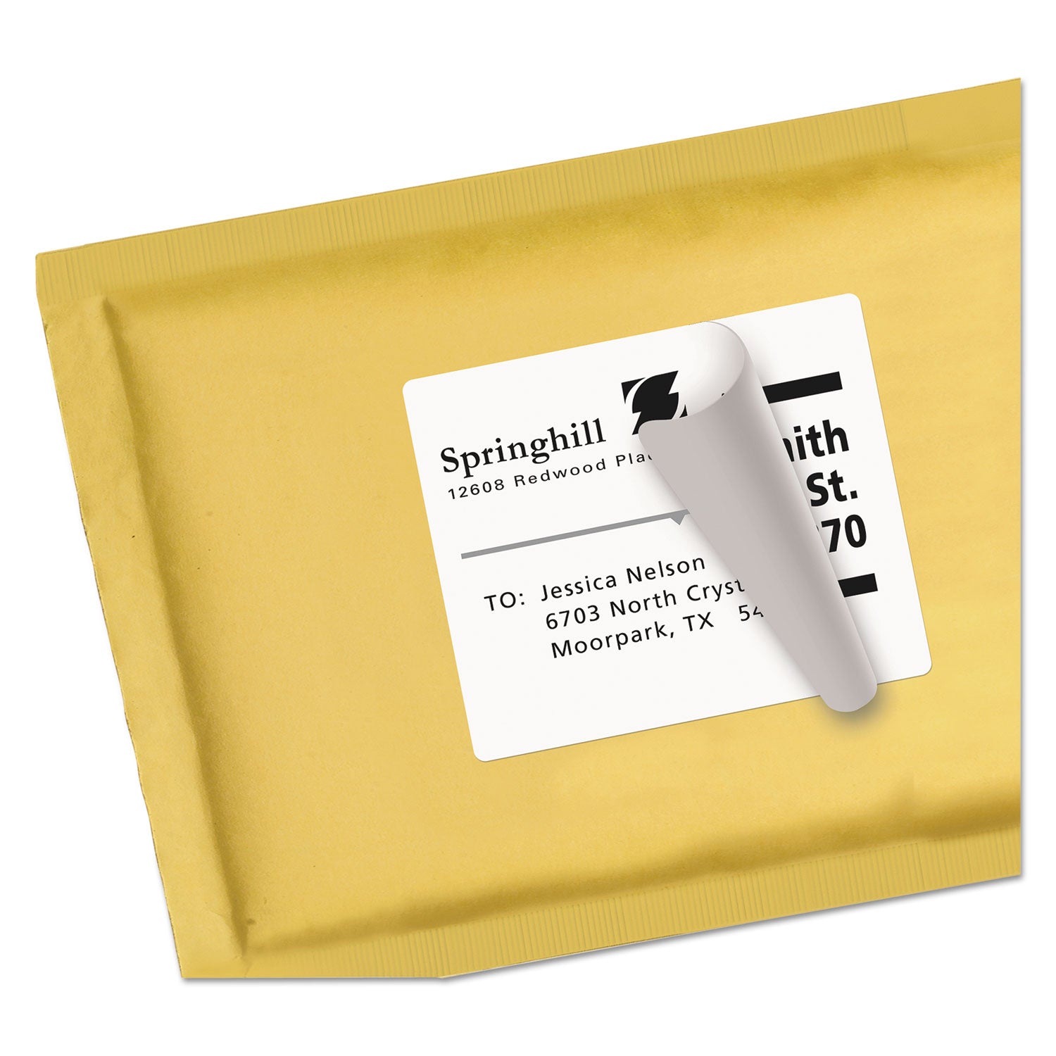 Shipping Labels w/ TrueBlock Technology, Inkjet Printers, 3.33 x 4, White, 6/Sheet, 100 Sheets/Box