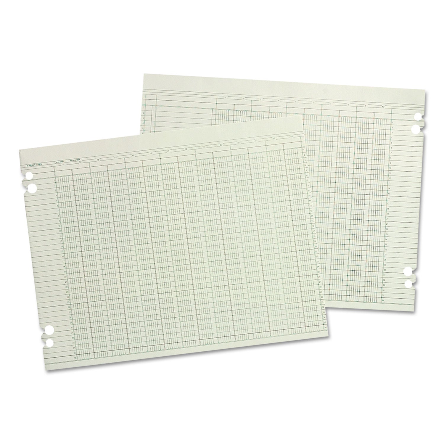 Accounting Sheets, 20 Columns, 9.25 x 11.88, Green, Loose Sheet, 100/Pack - 