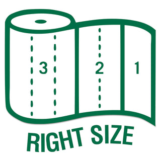 100% Recycled Paper Kitchen Towel Rolls, 2-Ply, 11 x 5.4, 140 Sheets/Roll, 24 Rolls/Carton