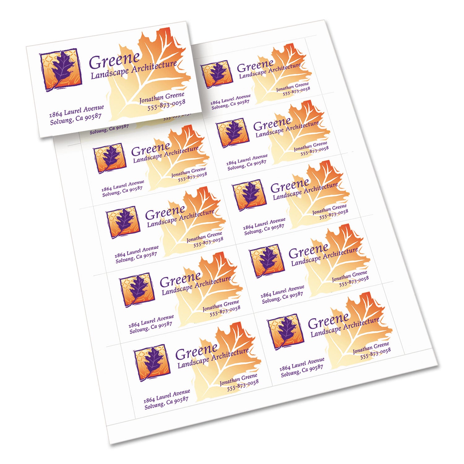 True Print Clean Edge Business Cards, Inkjet, 2 x 3.5, White, 1,000 Cards, 10 Cards/Sheet, 100 Sheets/Box