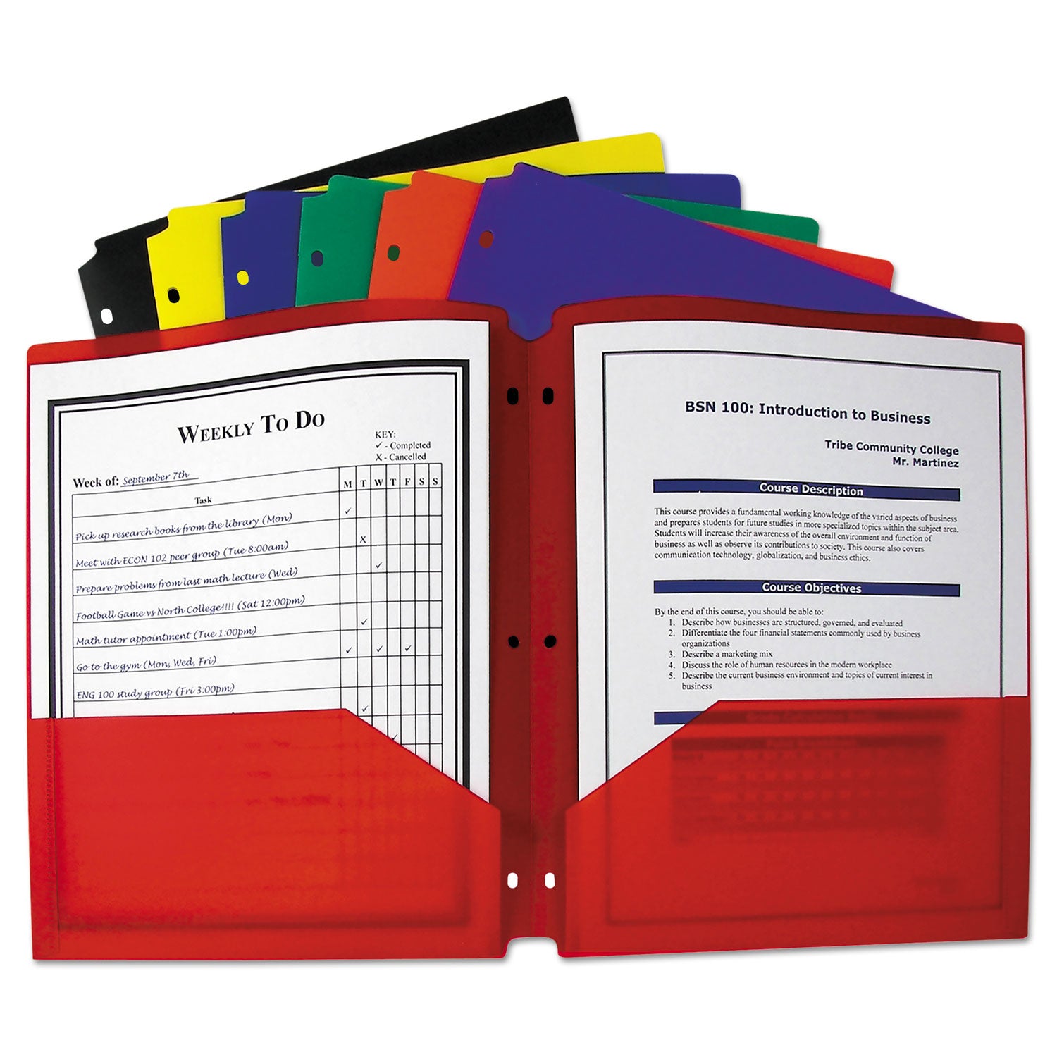 Two-Pocket Heavyweight Poly Portfolio Folder, 3-Hole Punch, 11 x 8.5, Randomly Assorted Colors - 