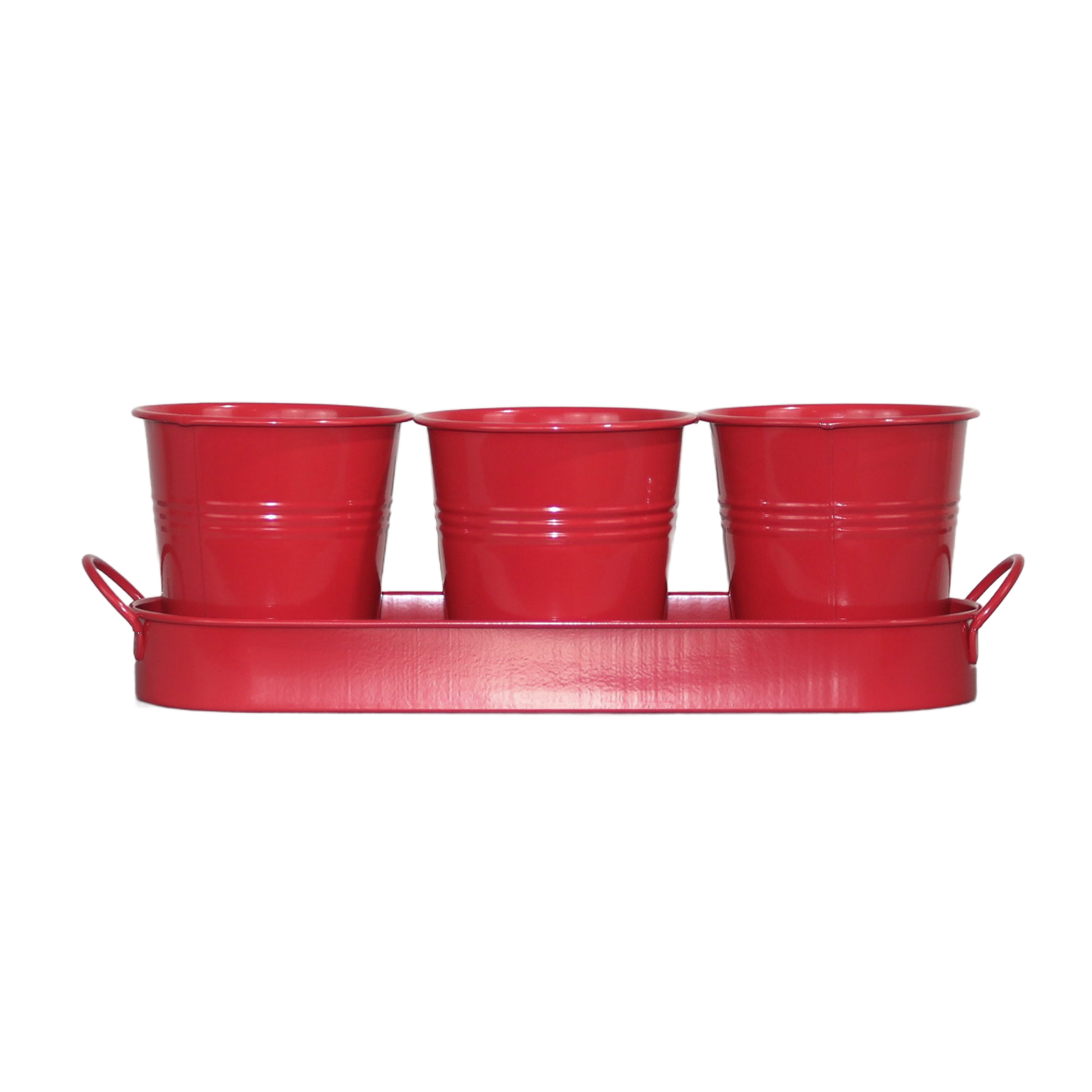 Set of 3 Red Metal Garden Planters with Tray