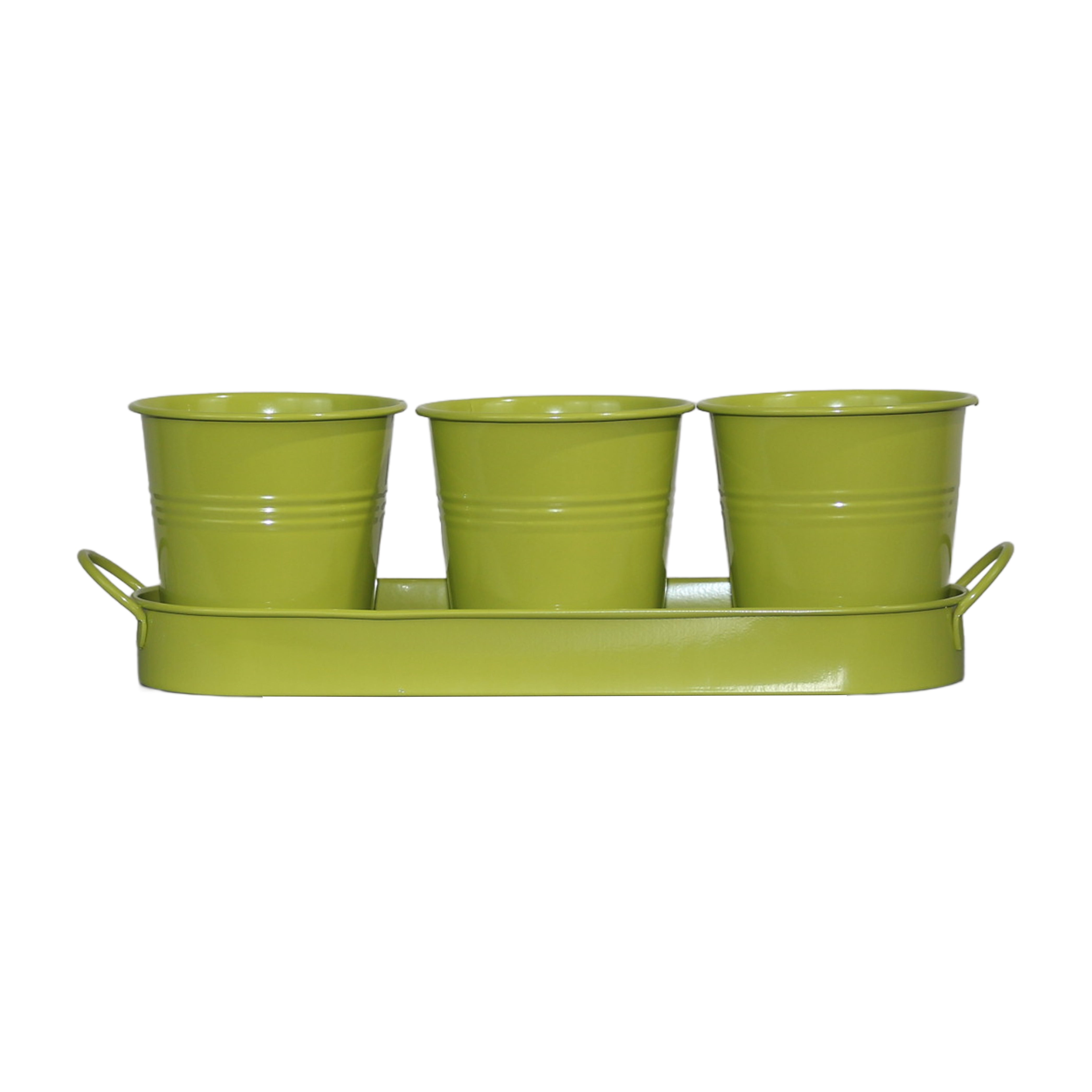 Set of 3 Green Metal Garden Planters with Tray