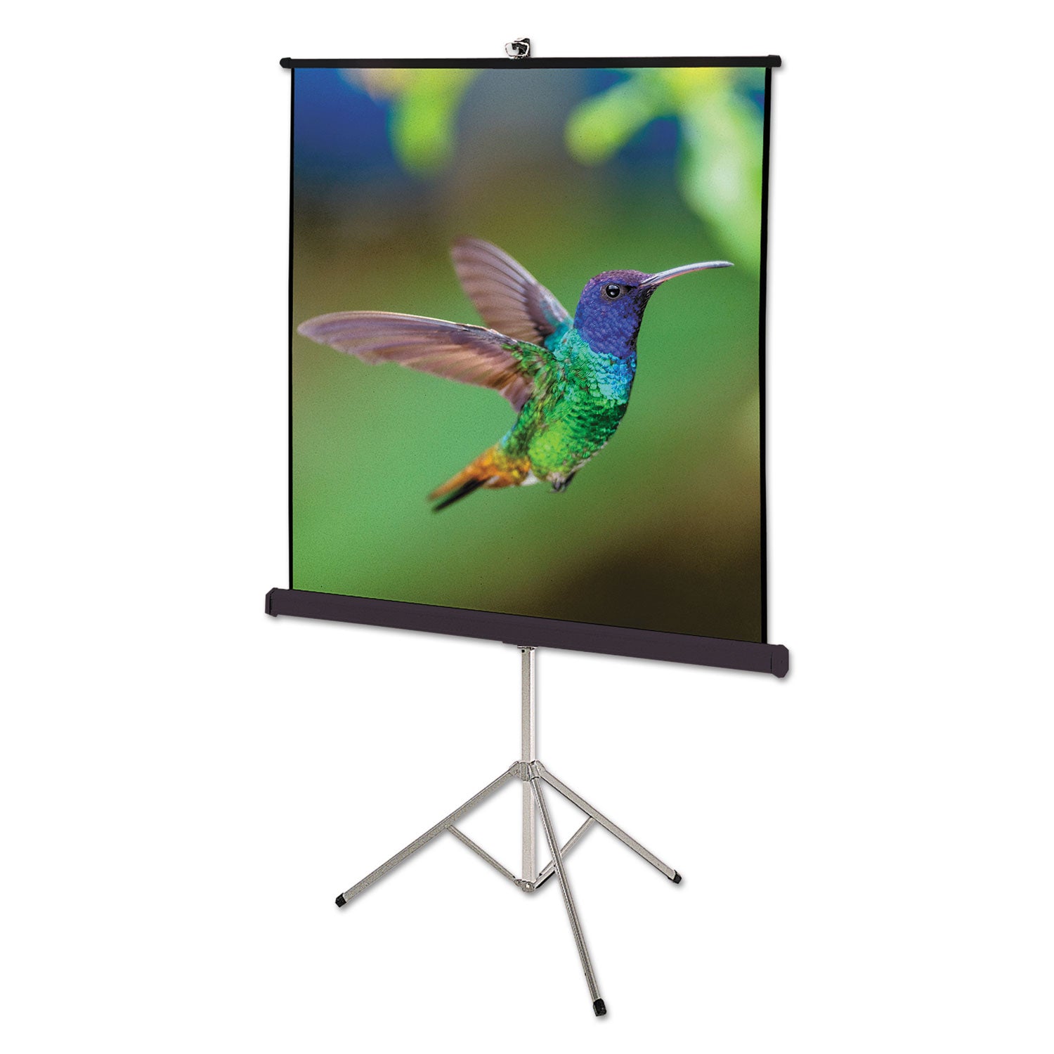 Portable Tripod Projection Screen, 60 x 60, White Matte Finish - 