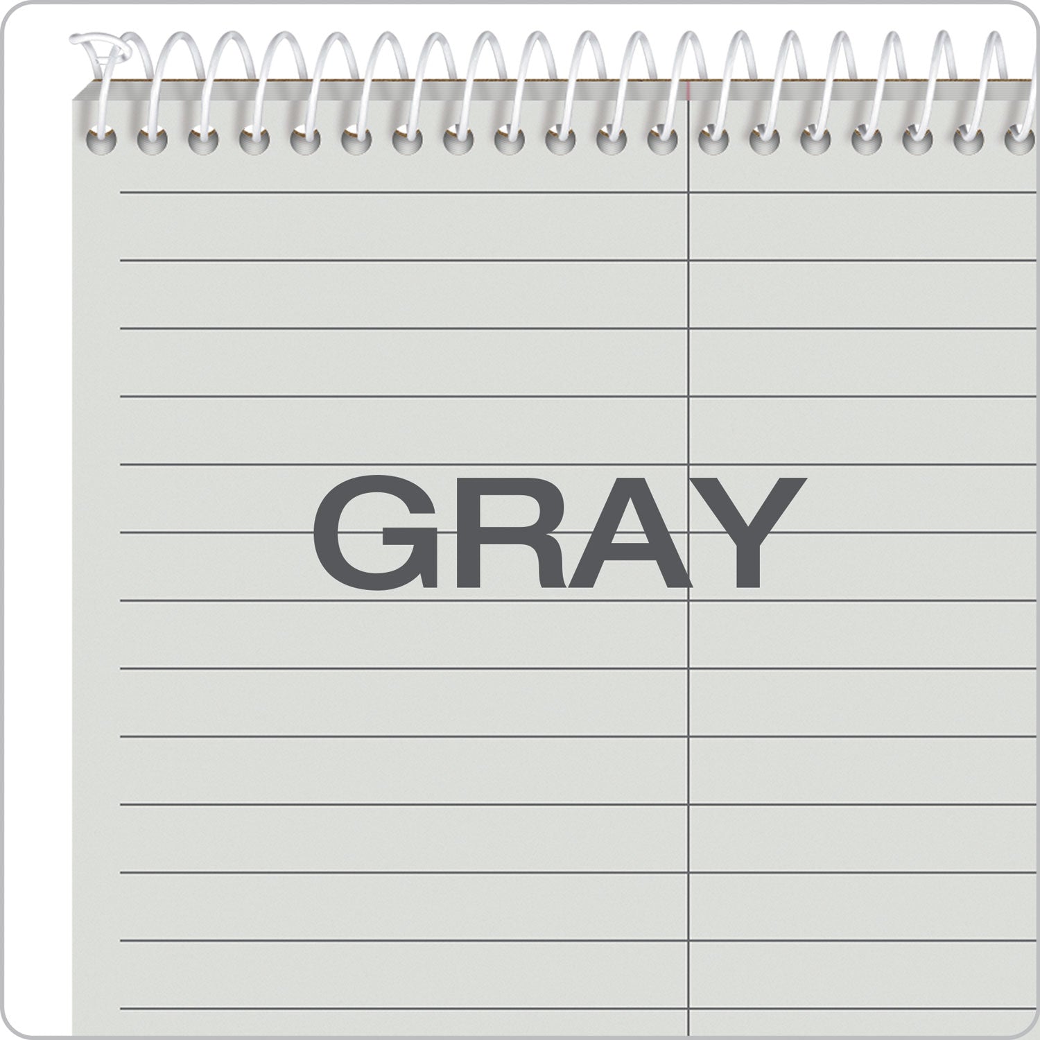 Prism Steno Pads, Gregg Rule, Gray Cover, 80 Gray 6 x 9 Sheets, 4/Pack - 