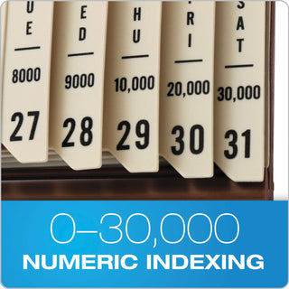 General Purpose Indexed Sorter, 31 Dividers, Alpha/Numeric/Month/Date/Day Index, Letter Size, Brown Frame - 