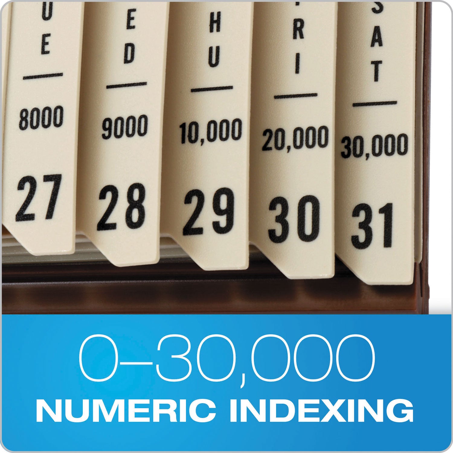 General Purpose Indexed Sorter, 31 Dividers, Alpha/Numeric/Month/Date/Day Index, Letter Size, Brown Frame - 