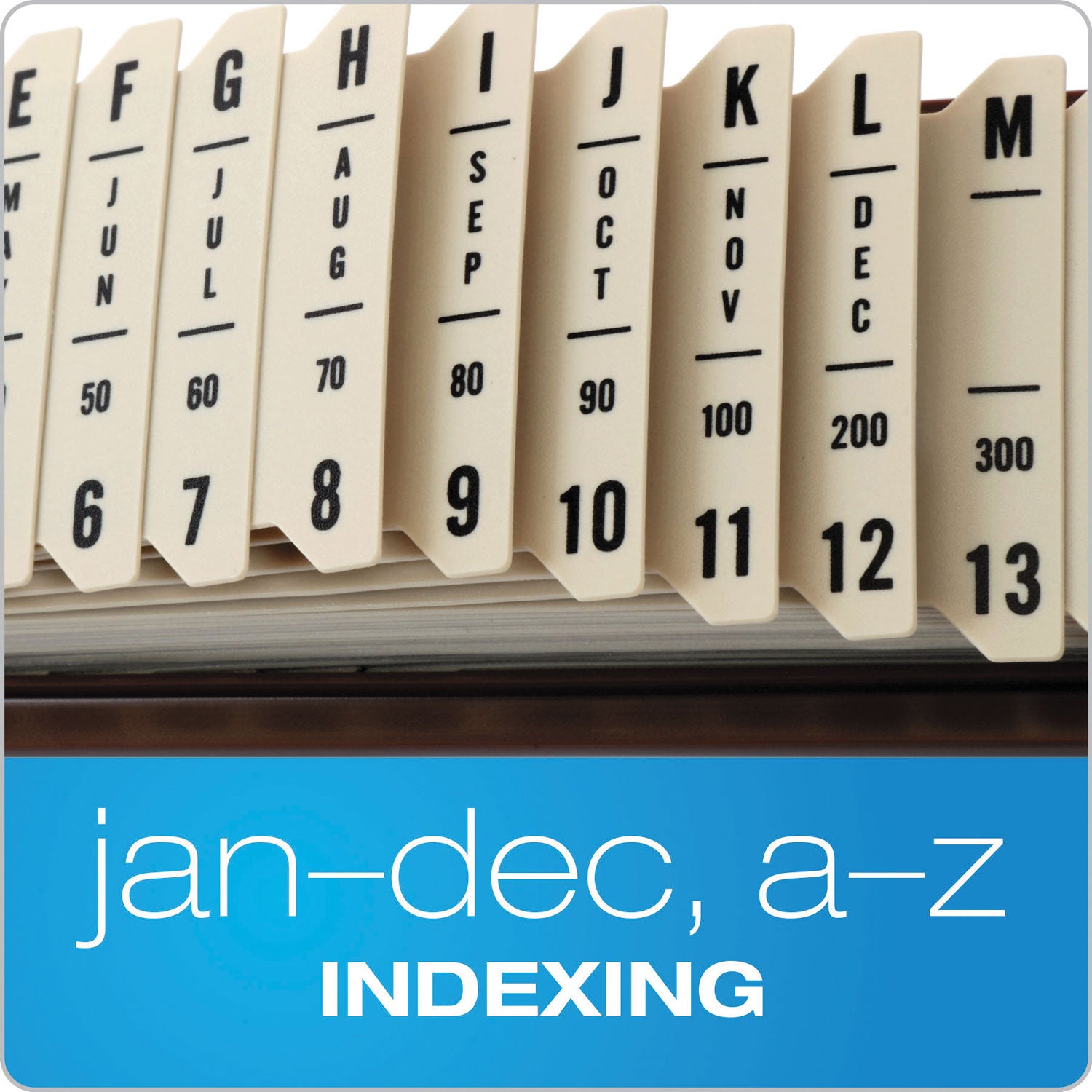 General Purpose Indexed Sorter, 31 Dividers, Alpha/Numeric/Month/Date/Day Index, Letter Size, Brown Frame