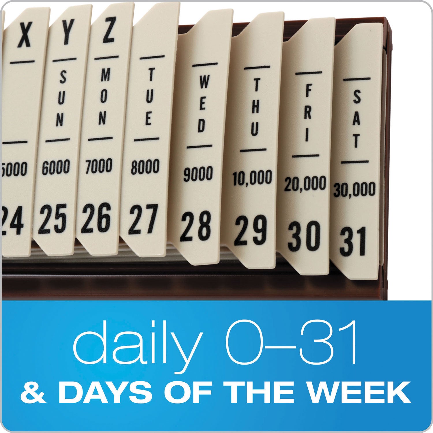 General Purpose Indexed Sorter, 31 Dividers, Alpha/Numeric/Month/Date/Day Index, Letter Size, Brown Frame - 