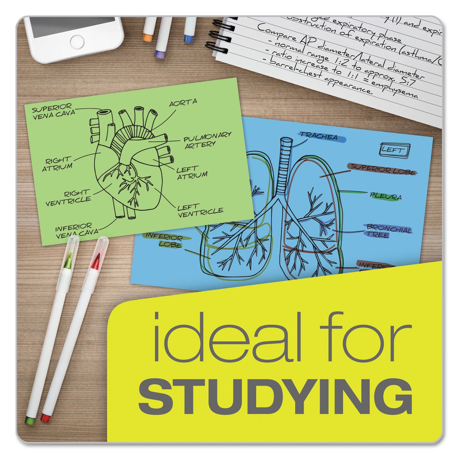 Unruled Index Cards, 4 x 6, Blue, 100/Pack
